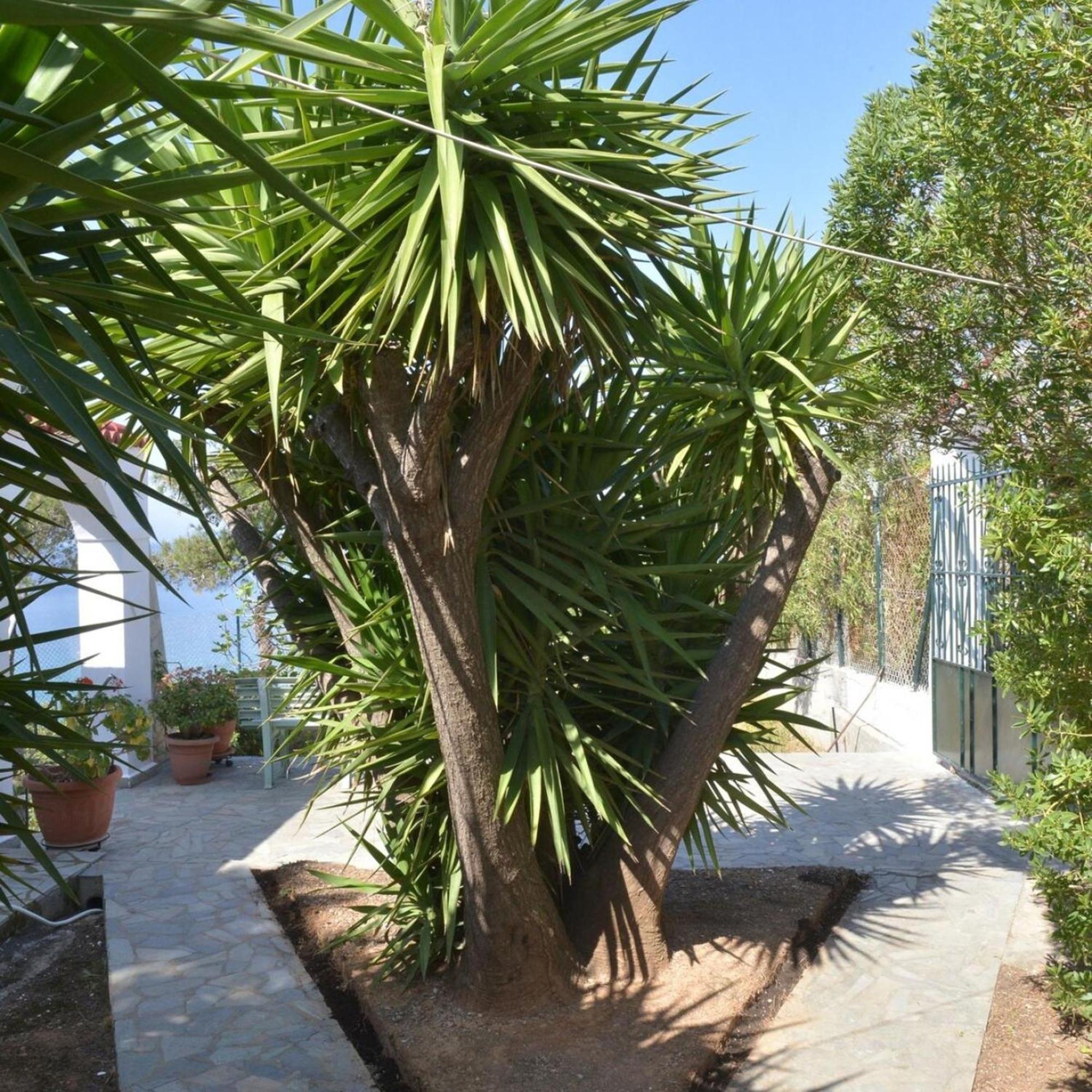 Salamis Beachfront House Екстер'єр фото